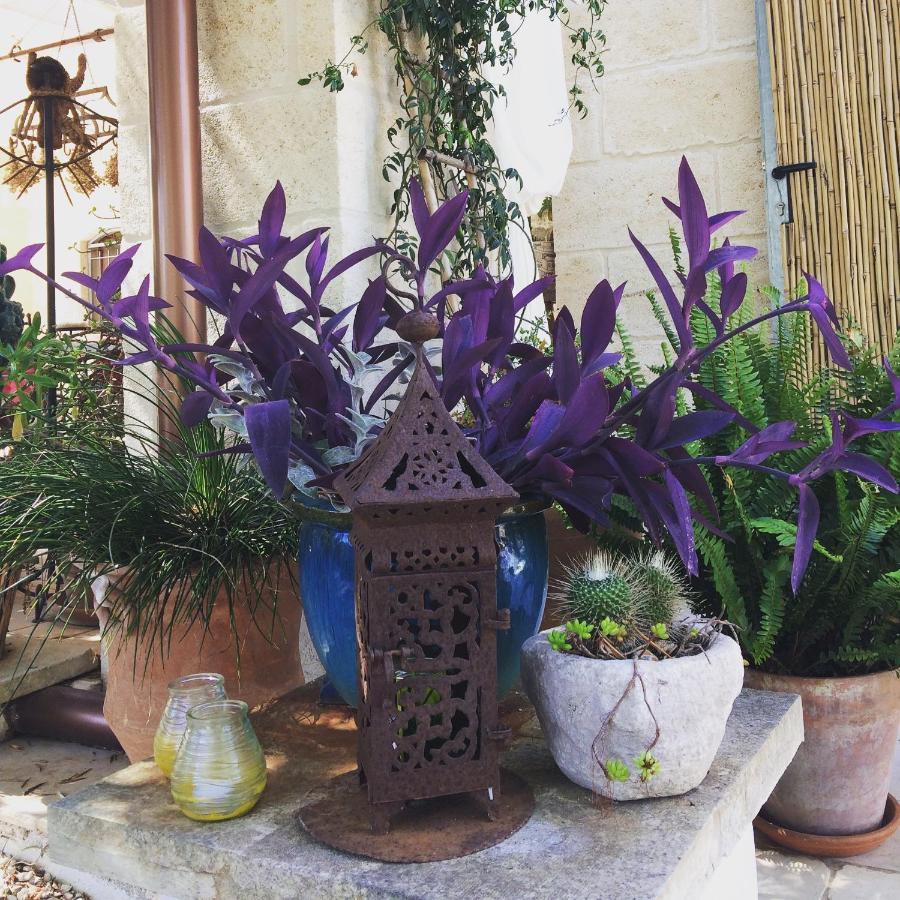 Bed and Breakfast Casa Della Scrittrice Ostuni Exterior foto