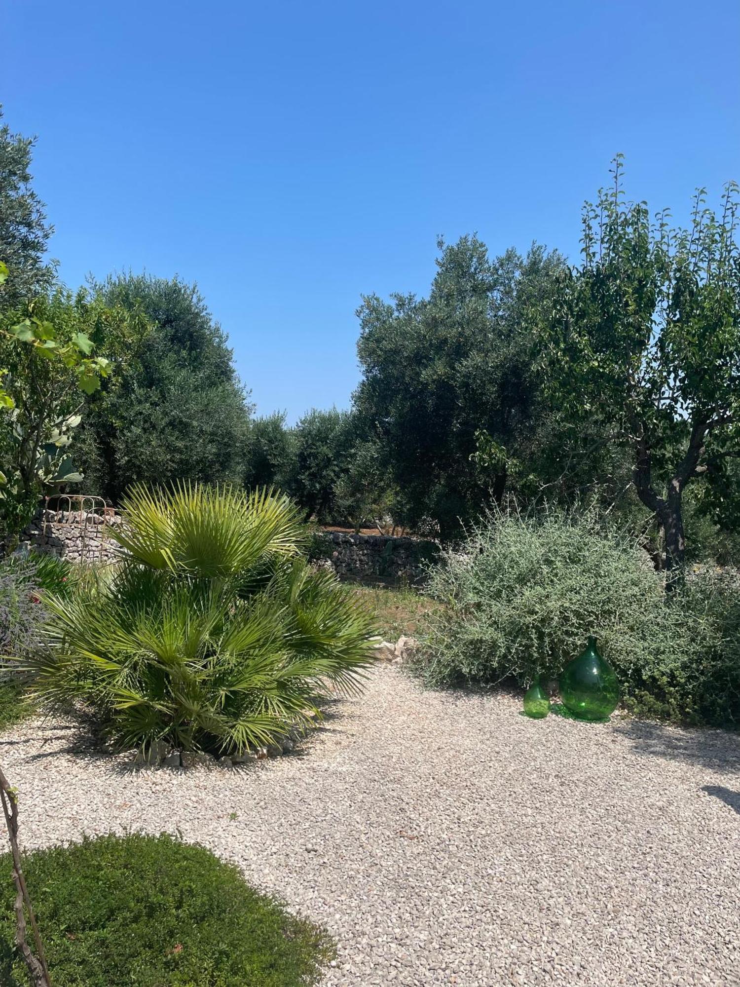 Bed and Breakfast Casa Della Scrittrice Ostuni Zimmer foto